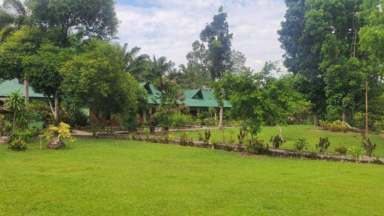 Wisma Batu Mandi Bukit Lawang Kültér fotó