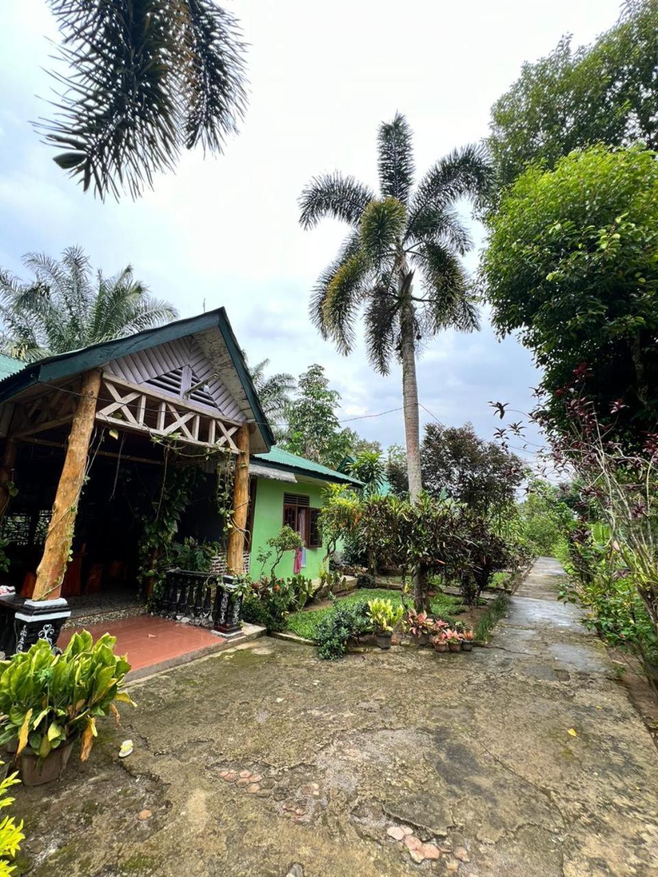 Wisma Batu Mandi Bukit Lawang Kültér fotó