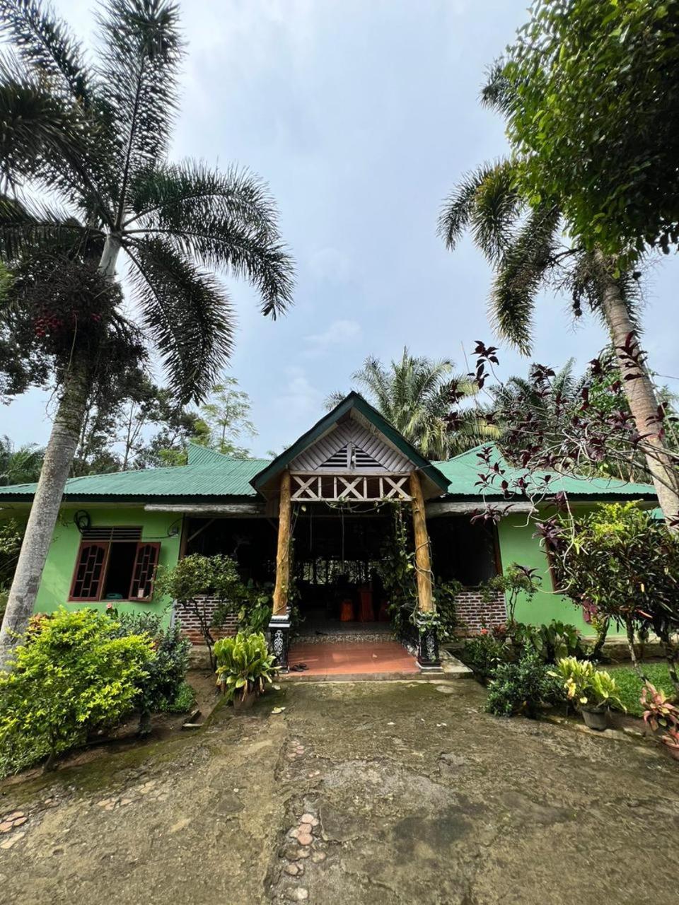 Wisma Batu Mandi Bukit Lawang Kültér fotó