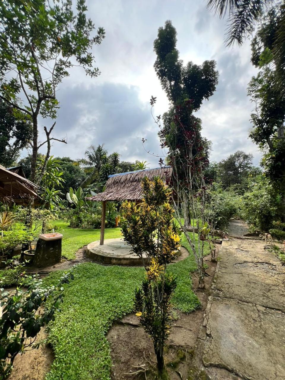 Wisma Batu Mandi Bukit Lawang Kültér fotó