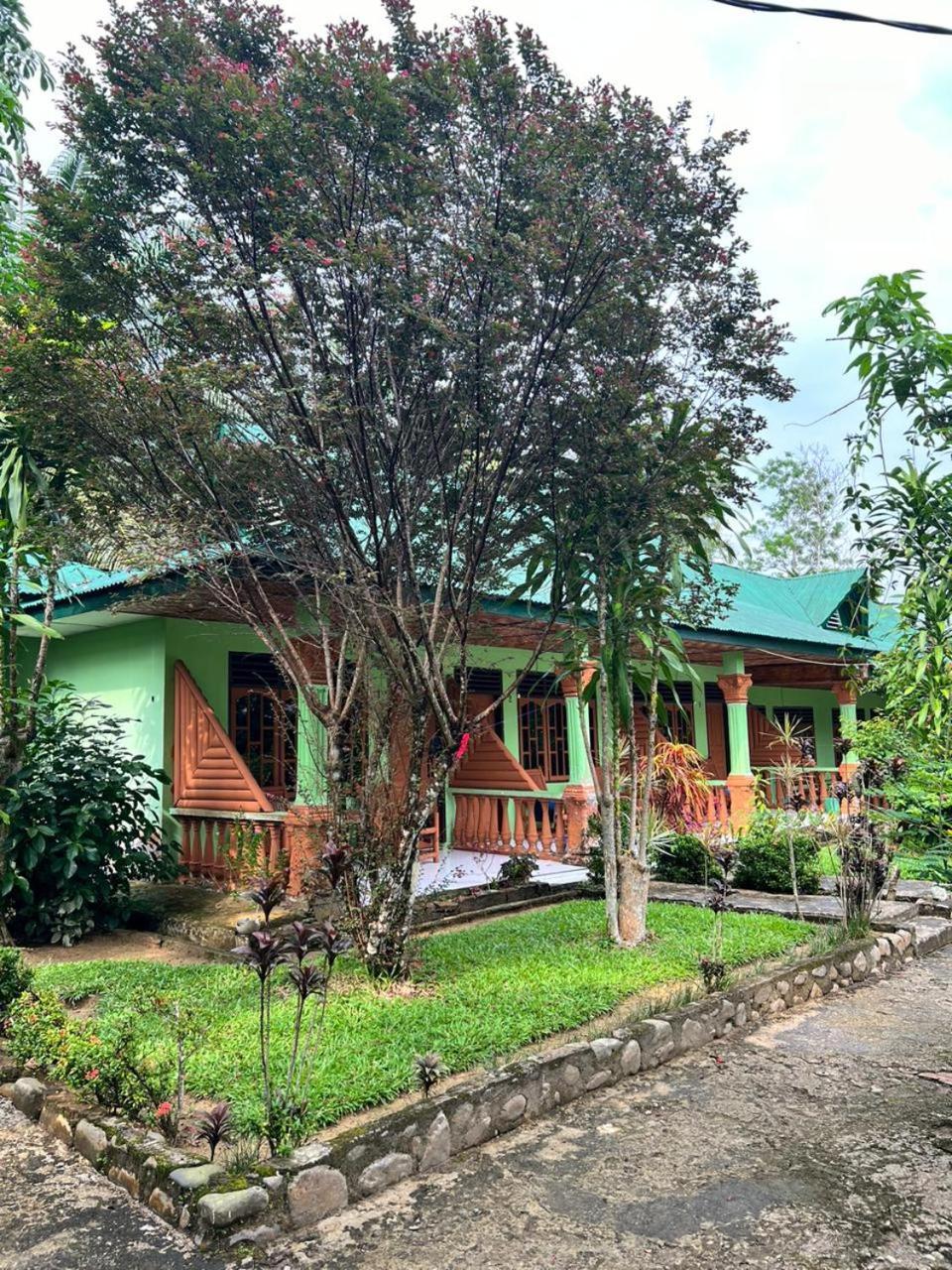 Wisma Batu Mandi Bukit Lawang Kültér fotó