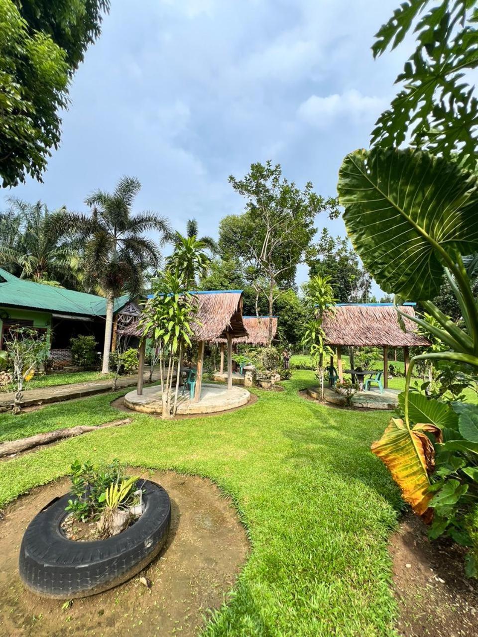 Wisma Batu Mandi Bukit Lawang Kültér fotó