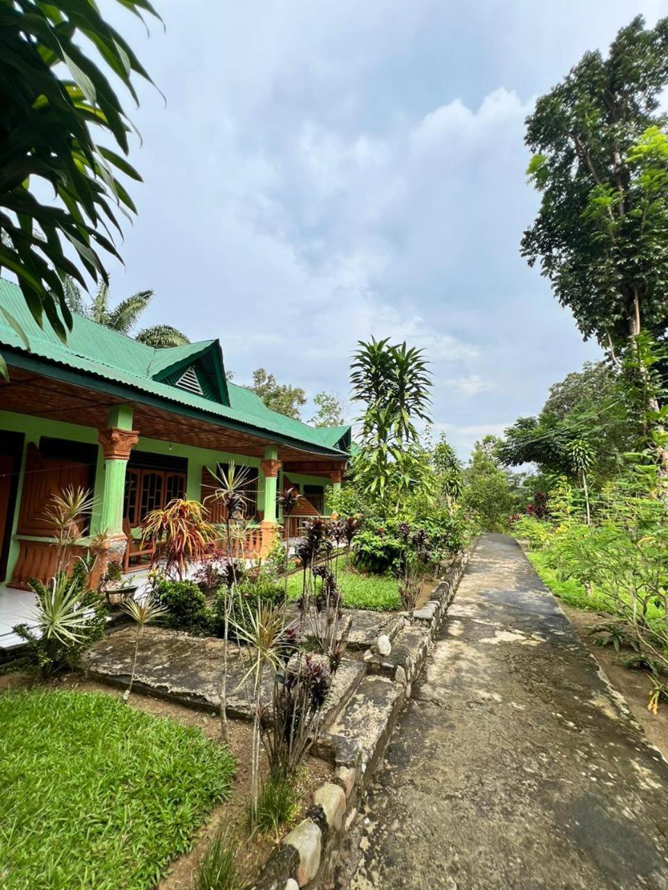 Wisma Batu Mandi Bukit Lawang Kültér fotó