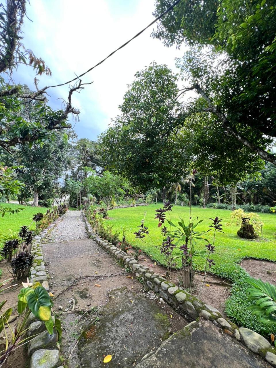 Wisma Batu Mandi Bukit Lawang Kültér fotó