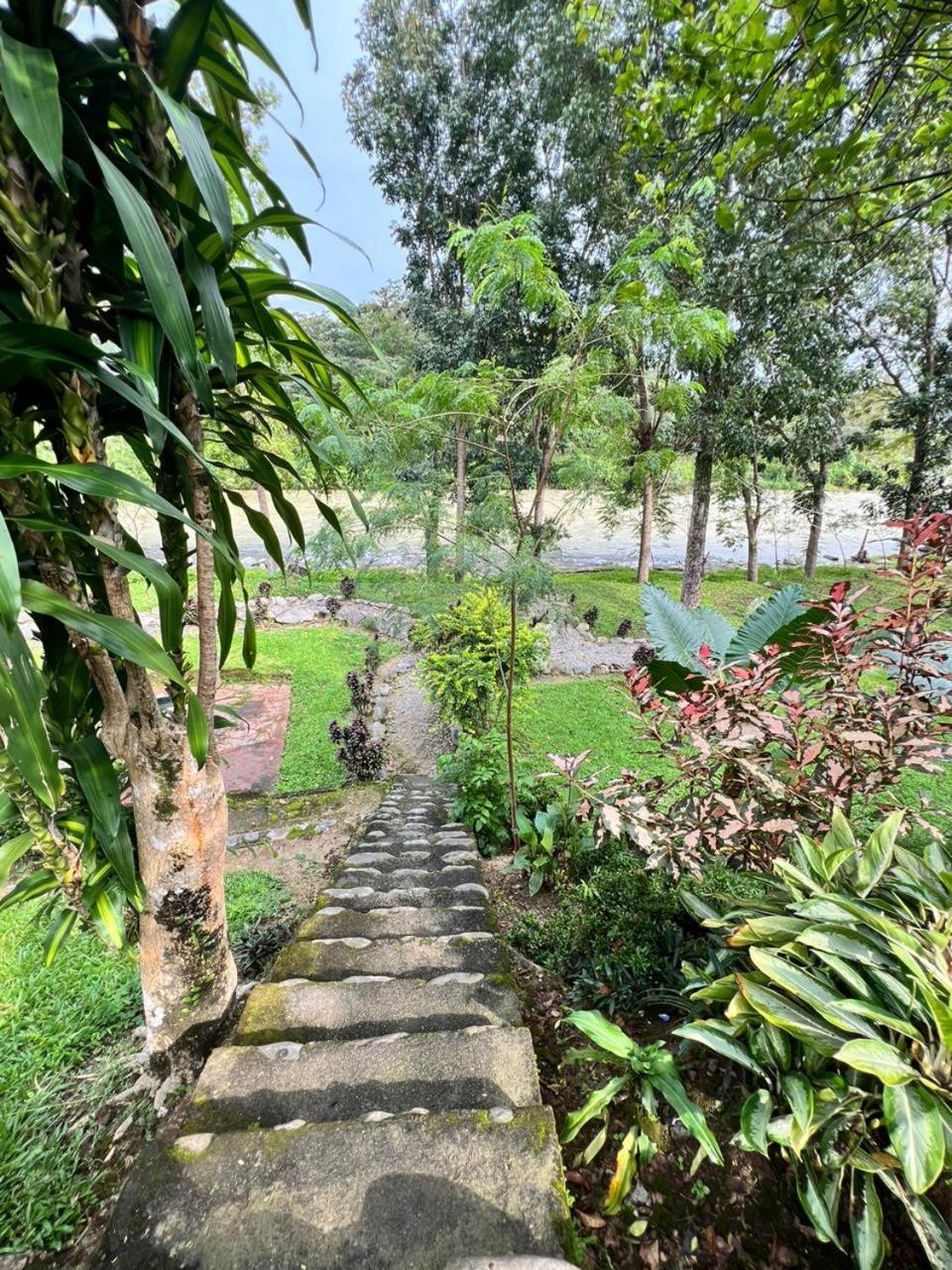 Wisma Batu Mandi Bukit Lawang Kültér fotó