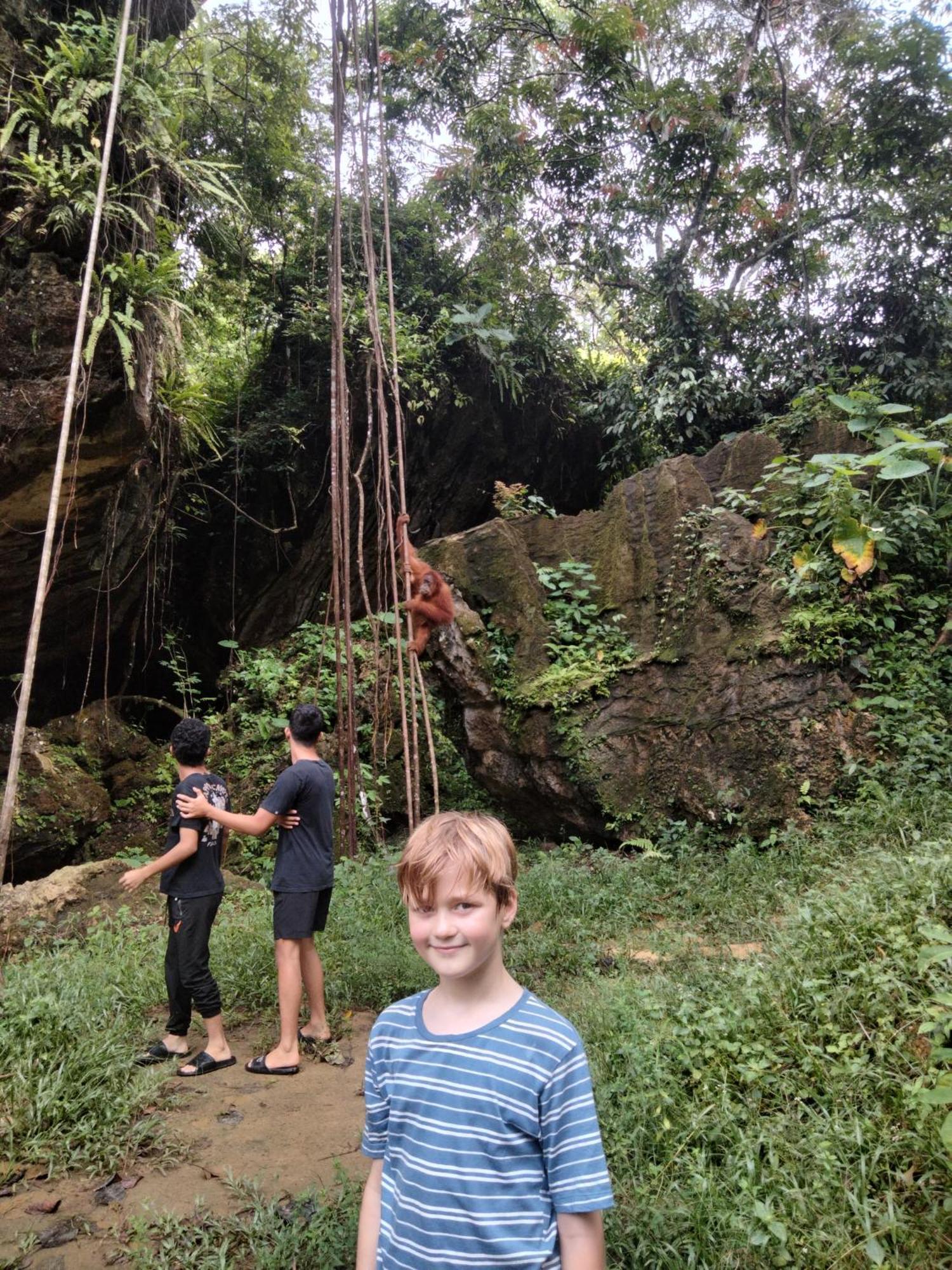Wisma Batu Mandi Bukit Lawang Kültér fotó