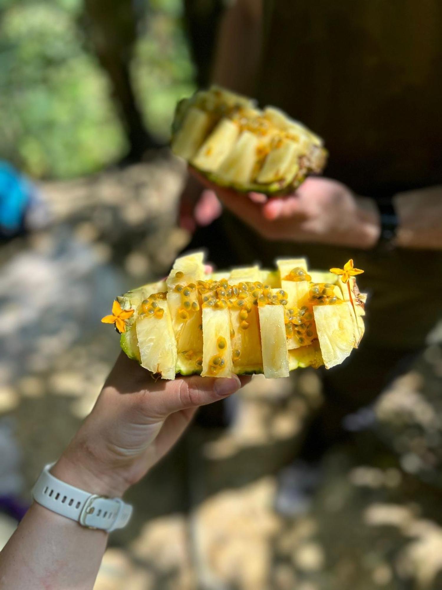 Wisma Batu Mandi Bukit Lawang Kültér fotó
