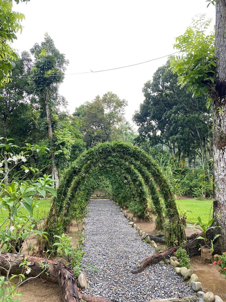 Wisma Batu Mandi Bukit Lawang Kültér fotó