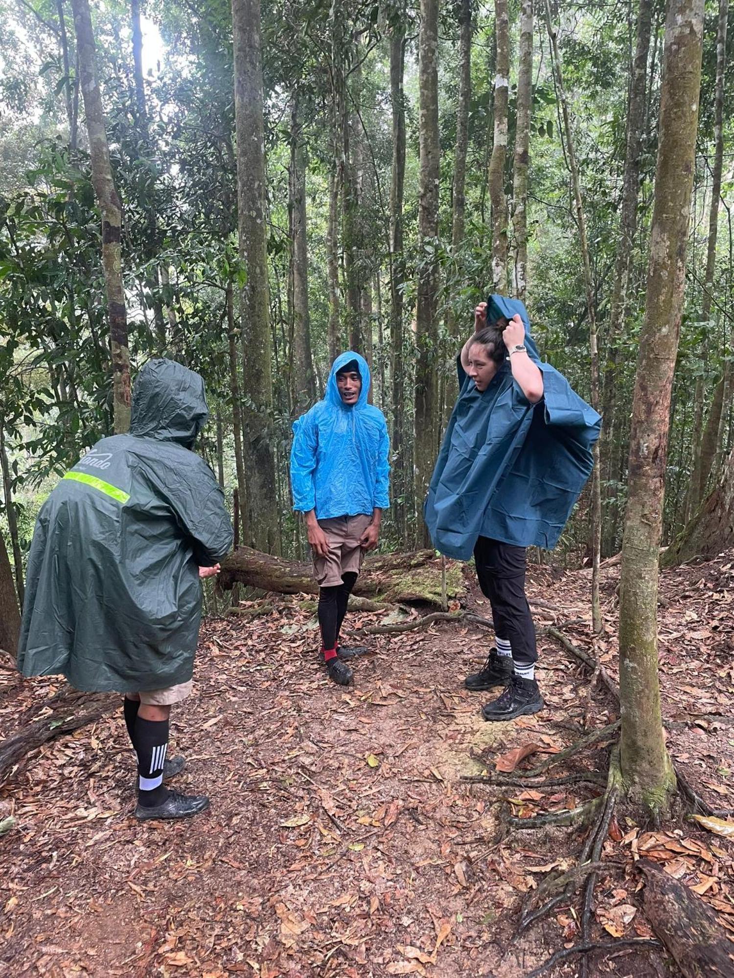 Wisma Batu Mandi Bukit Lawang Kültér fotó