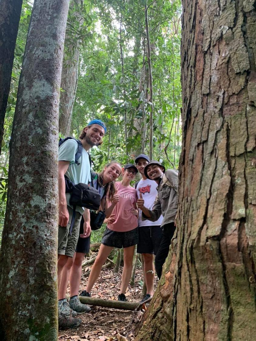Wisma Batu Mandi Bukit Lawang Kültér fotó