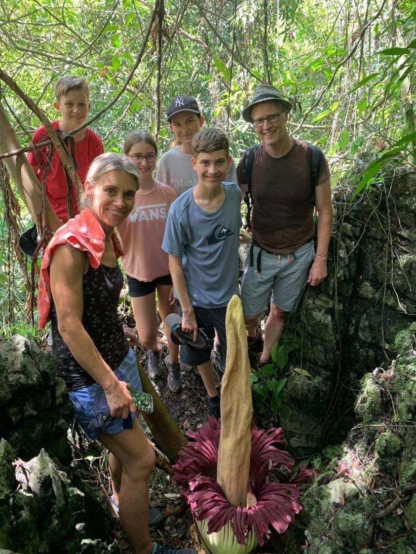 Wisma Batu Mandi Bukit Lawang Kültér fotó